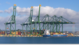 Environmental Impact Assessment to the expansion of the Port of Sines completed