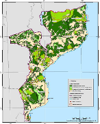 Implementação do REDD+ em Moçambique