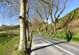 EIA para melhoria da acessibilidade na região das Furnas, Açores