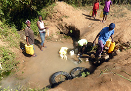 New project in Rwanda: Restoration of Wetlands in the Kigali City – Sub-catchment of Gikondo and Nyabugogo