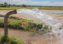 NEMUS takes part in the third cycle of River Basin Management Plans in Bulgaria