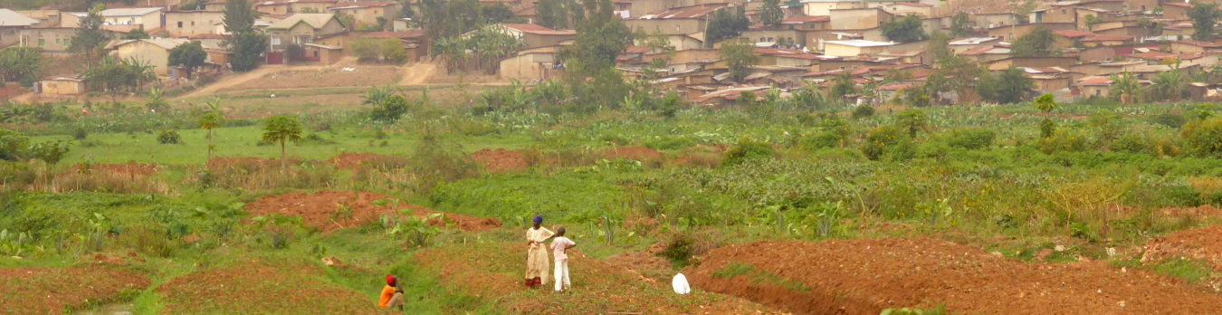 An ambitious forest restauration plan in Rwanda has been kicked-off by Nemus