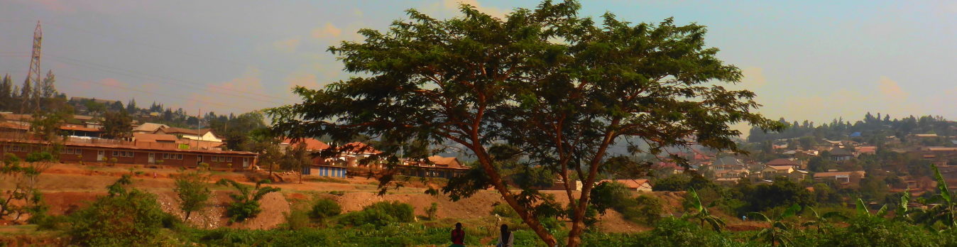 Nemus’ commitment to the African market is consolidated with three new challenging projects